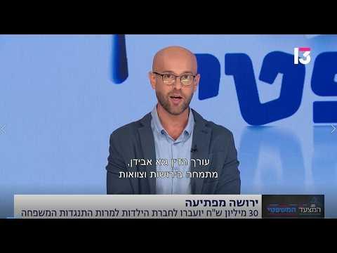 ירושת המיליונים לחברת הילדות: מתי בית המשפט יקדש את רצון המנוח בניגוד לעמדת המשפחה?